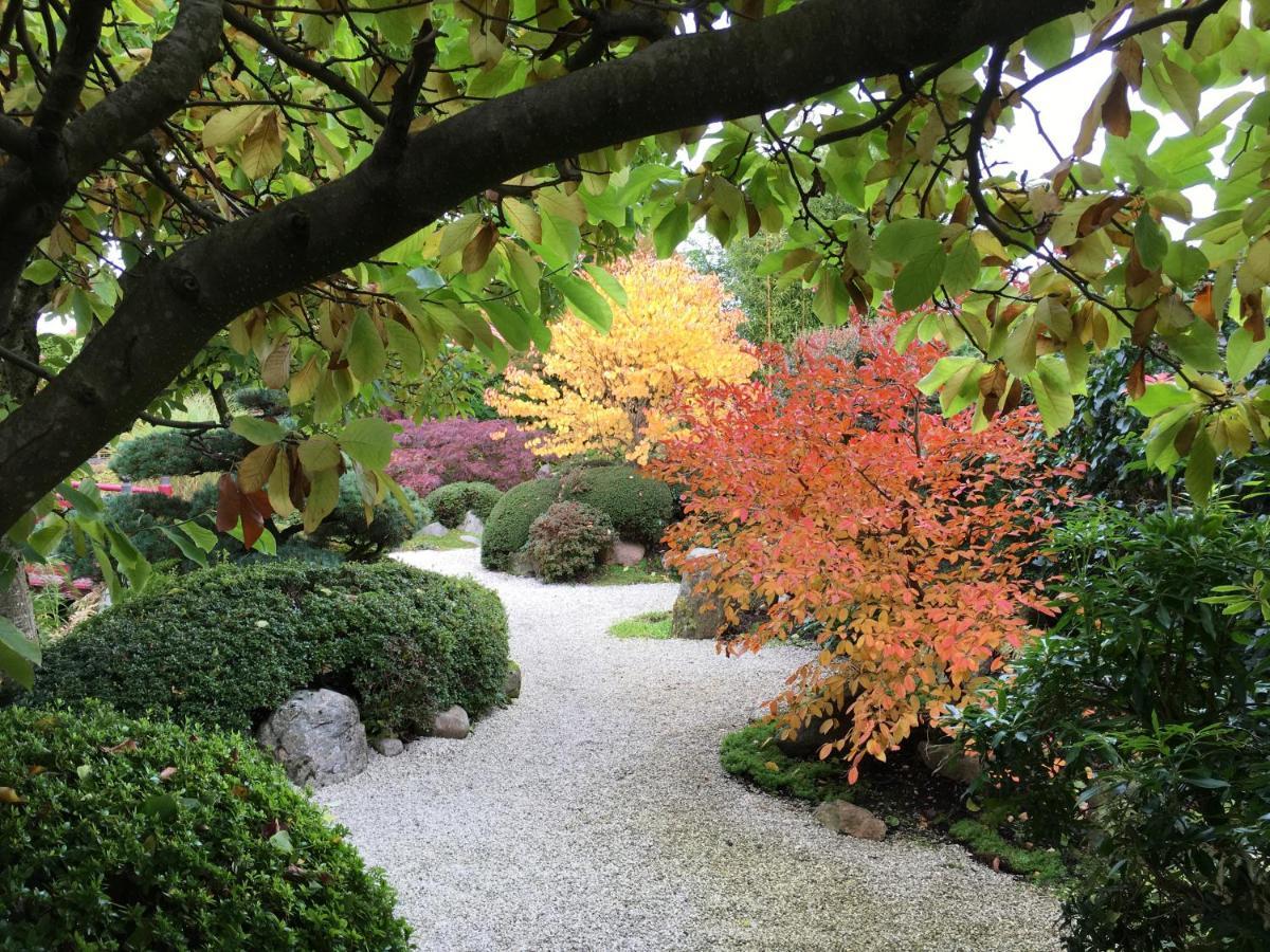 Den Japanske Have B & B Herning Extérieur photo