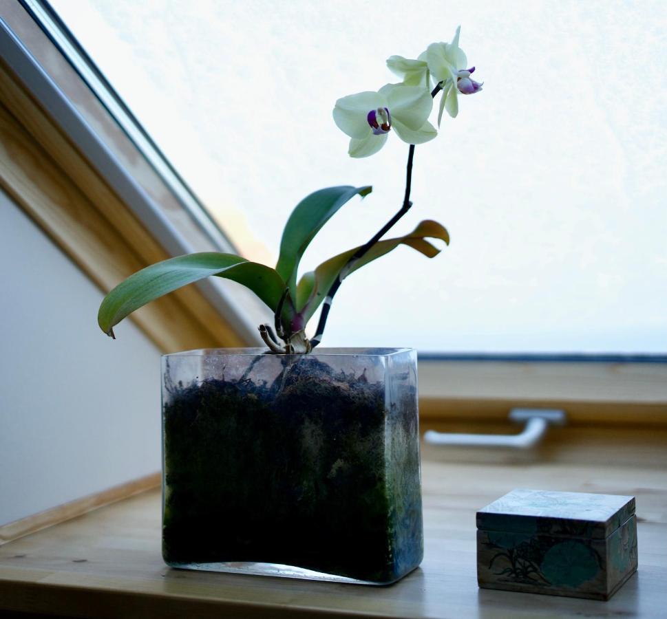 Den Japanske Have B & B Herning Extérieur photo